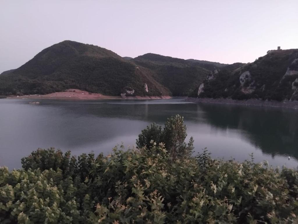 Vista ingrandita