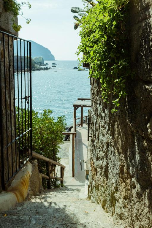 Vista ingrandita