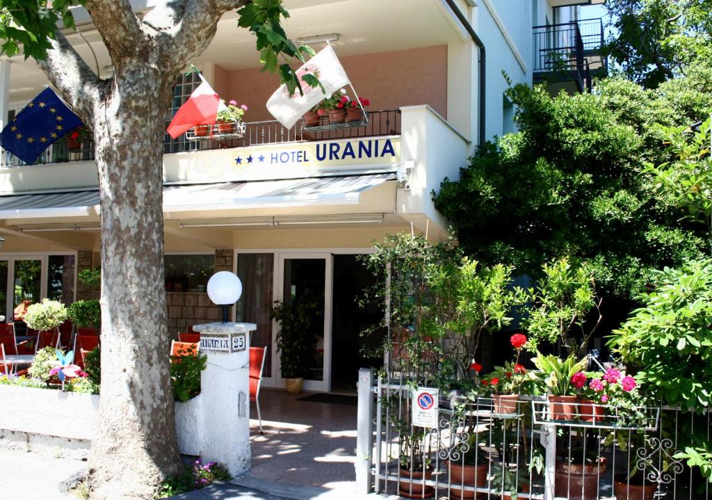 Vista ingrandita