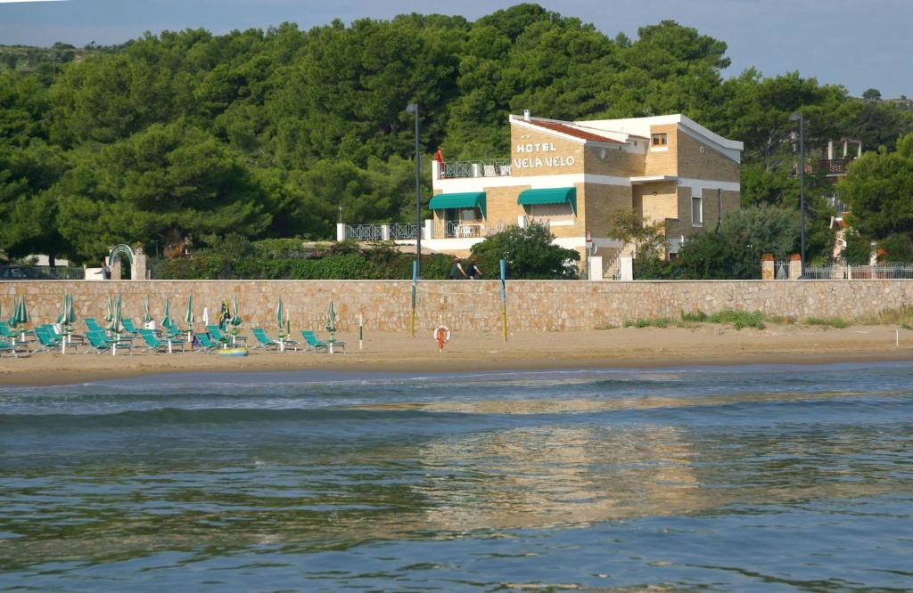 Vista ingrandita