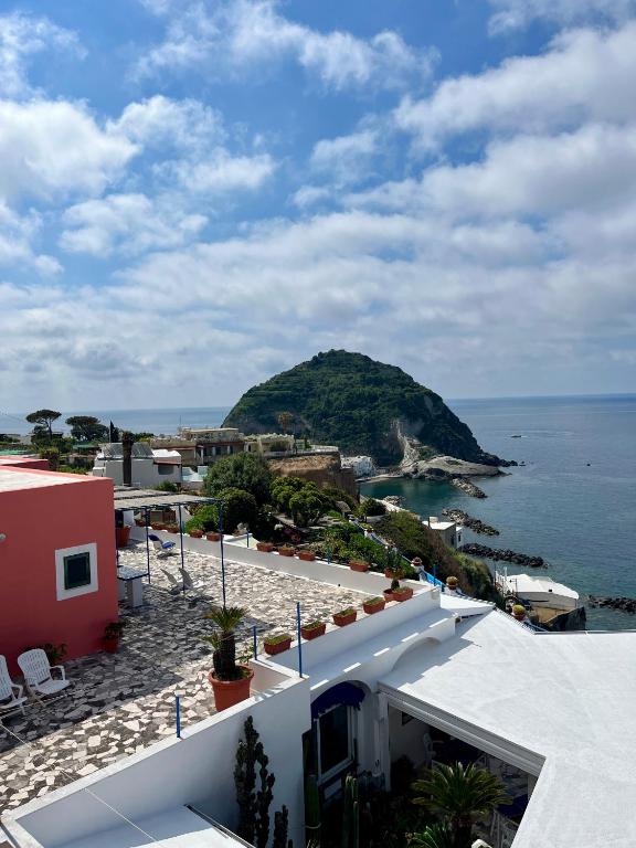Vista ingrandita