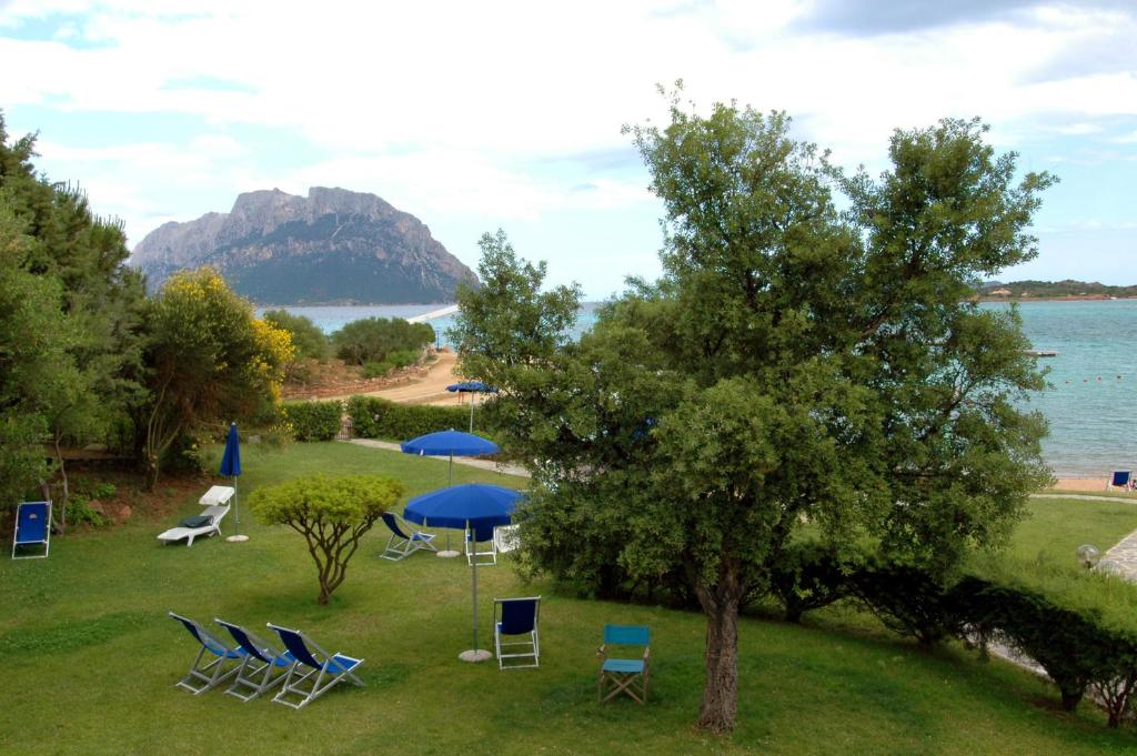 Vista ingrandita