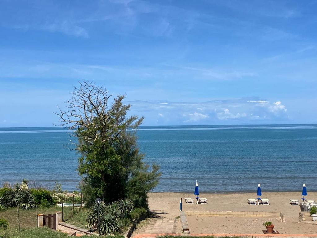 Vista ingrandita