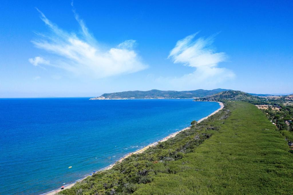 Vista ingrandita