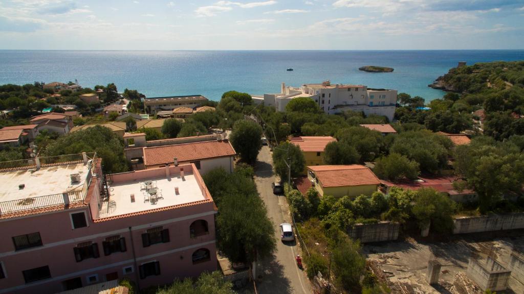 Vista ingrandita