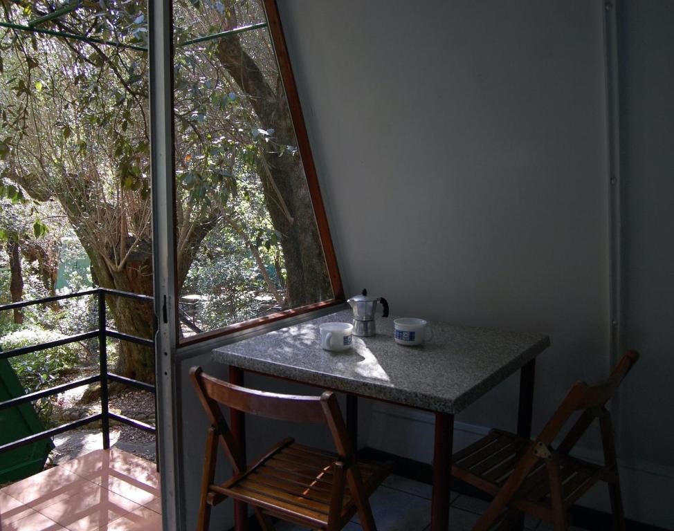 Vista ingrandita