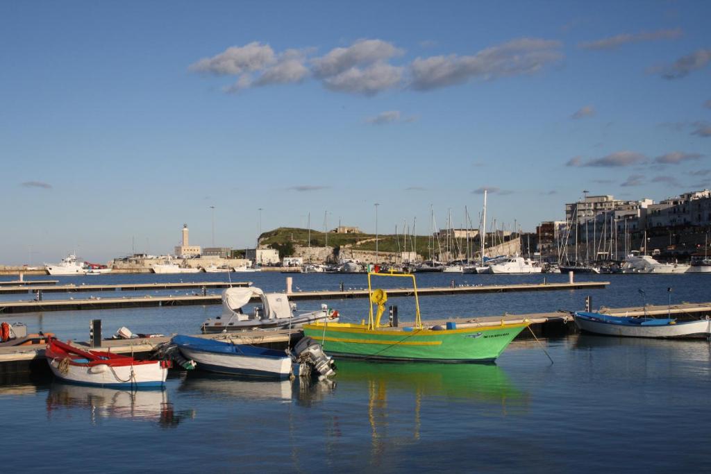Vista ingrandita