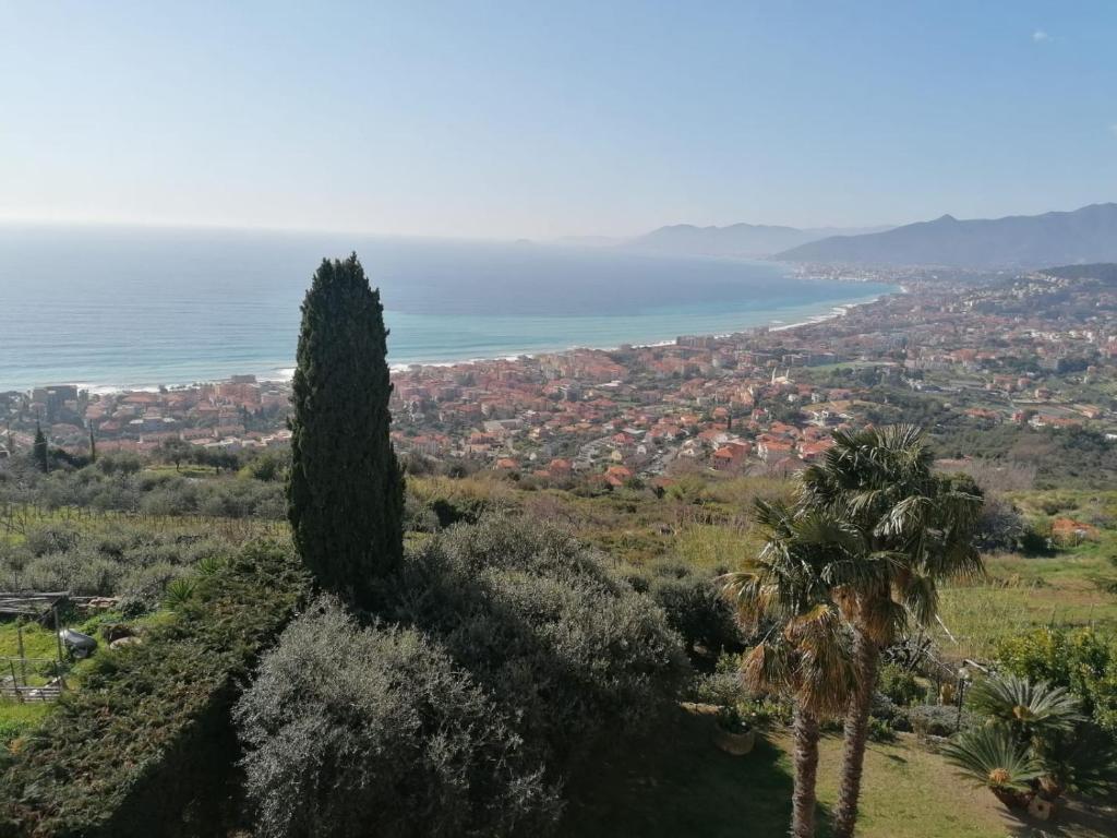 Vista ingrandita