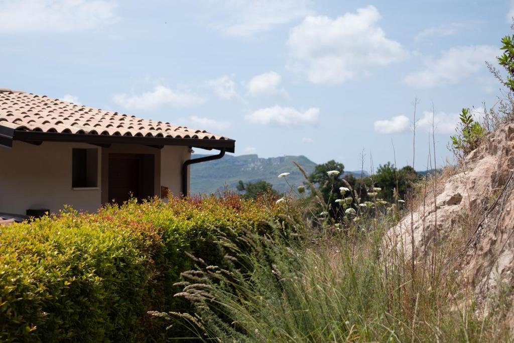 Vista ingrandita