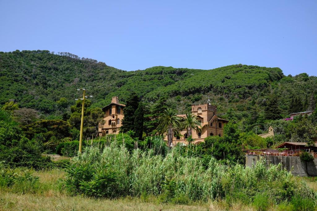 Vista ingrandita