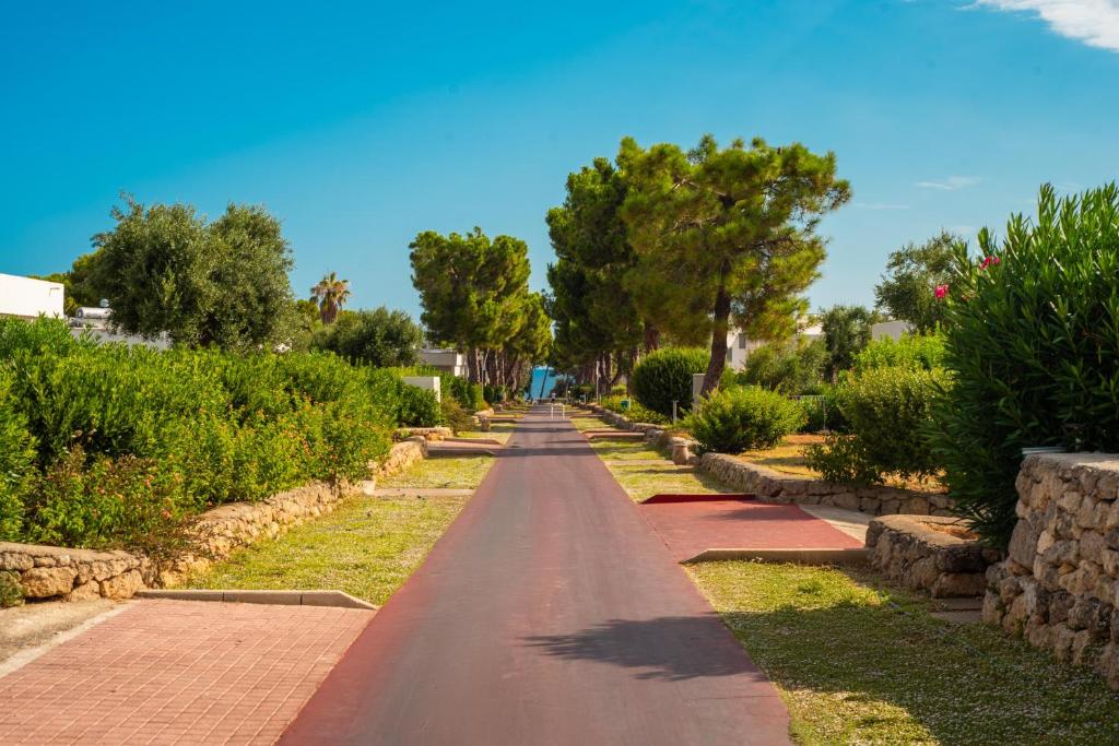 Vista ingrandita