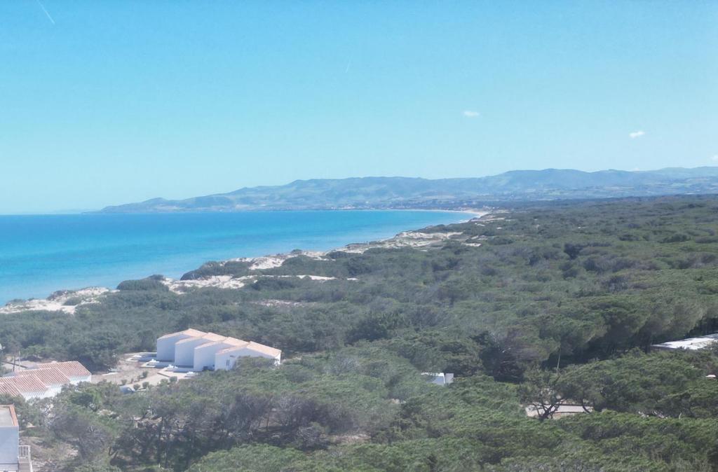 Vista ingrandita