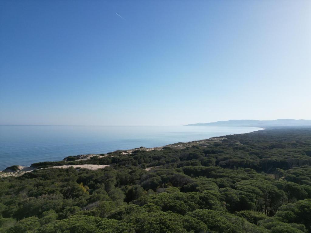 Vista ingrandita