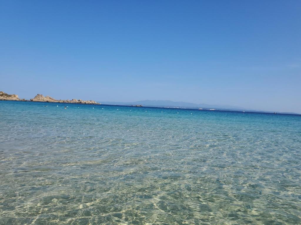 Vista ingrandita