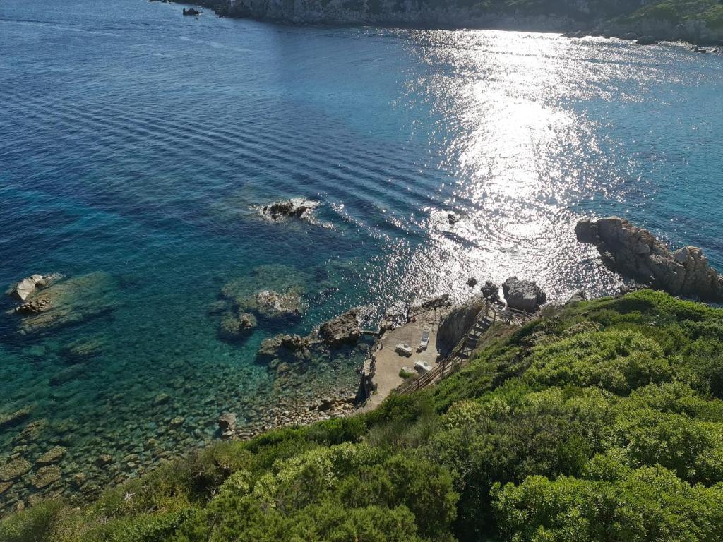 Vista ingrandita