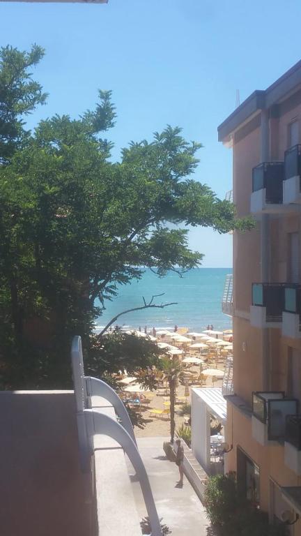 Vista ingrandita