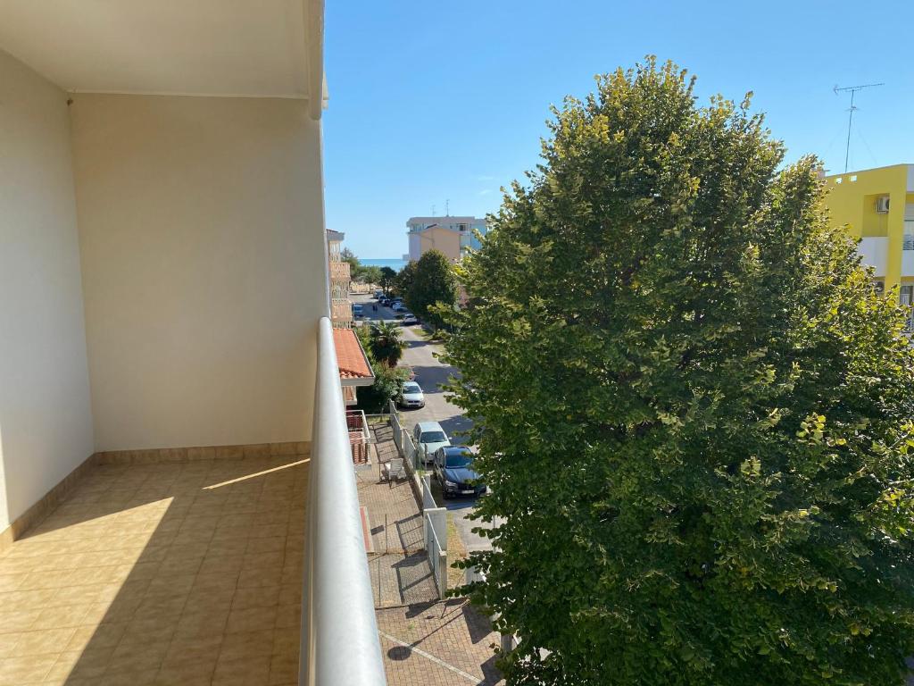 Vista ingrandita