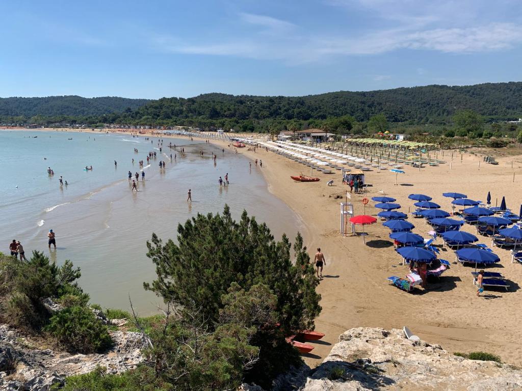 Vista ingrandita