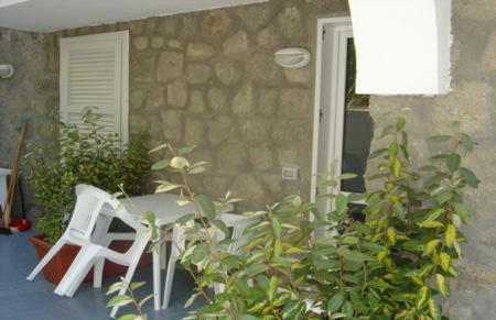 Vista ingrandita
