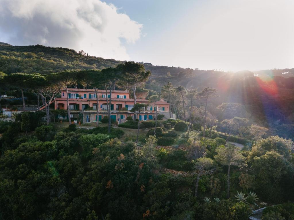 Vista ingrandita