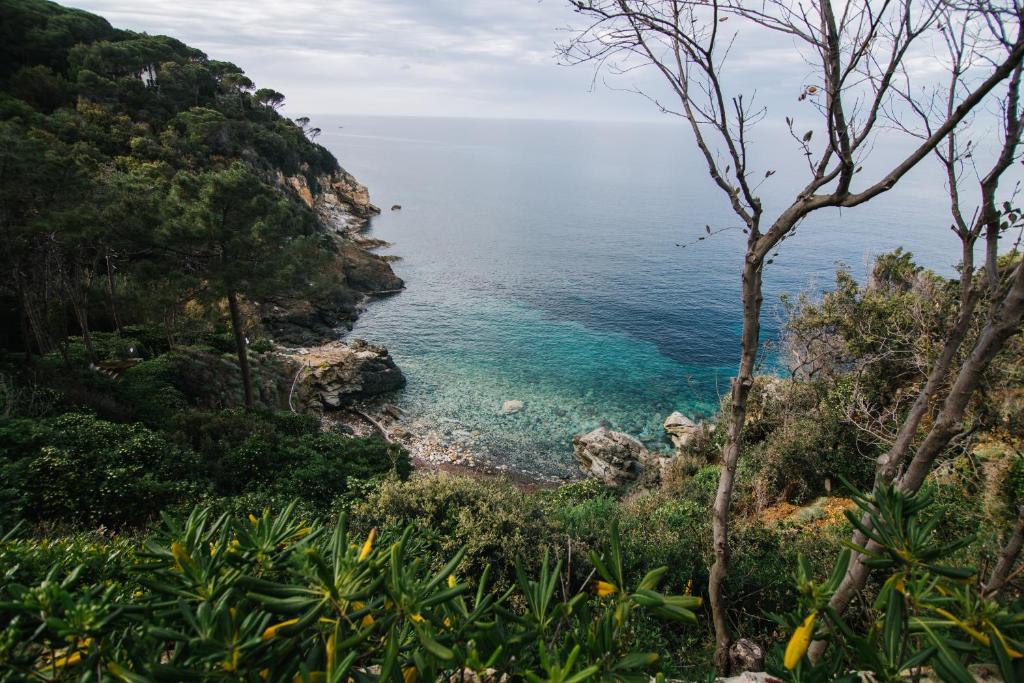 Vista ingrandita