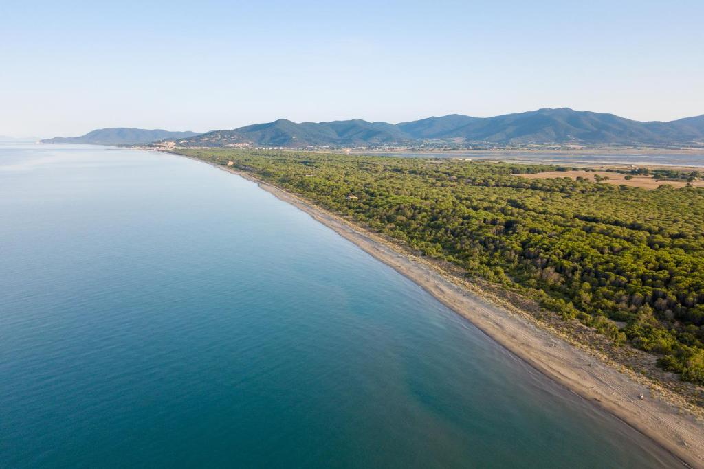 Vista ingrandita