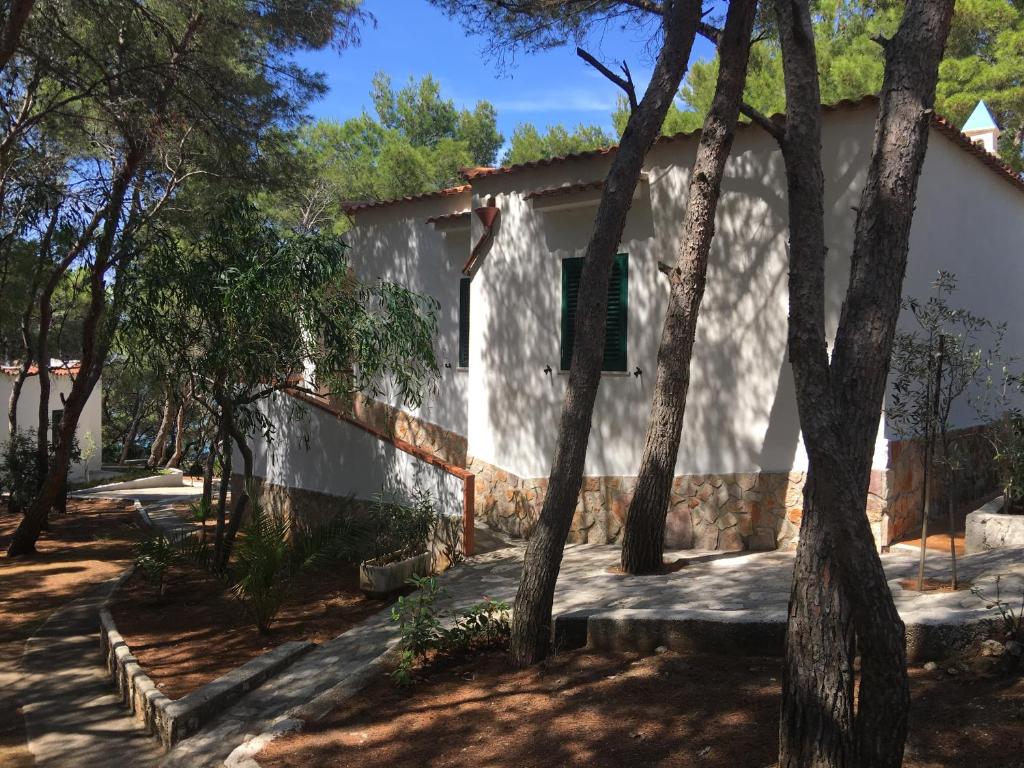 Vista ingrandita