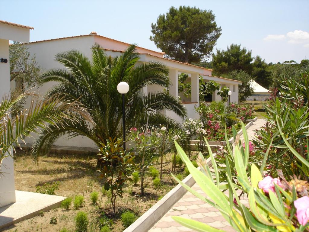 Vista ingrandita