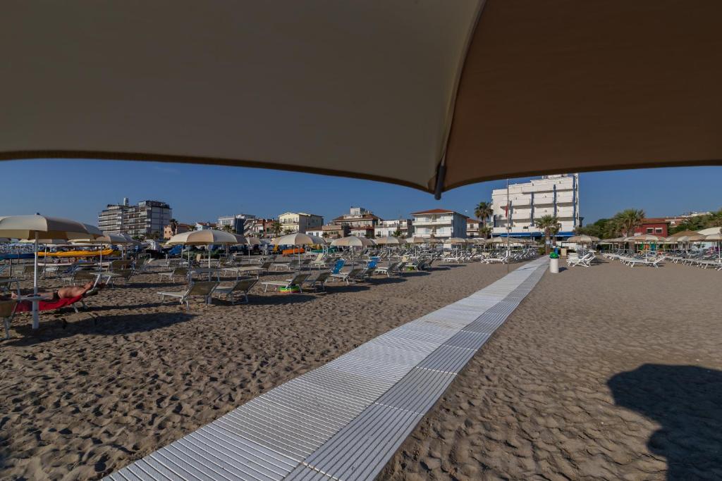 Vista ingrandita