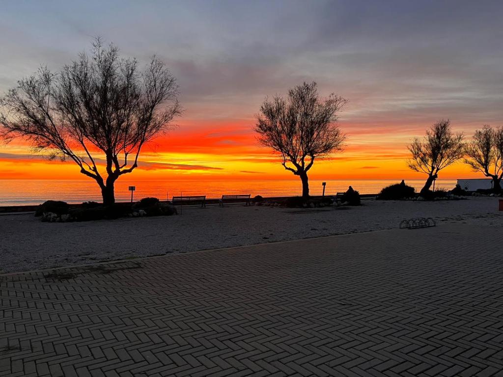 Vista ingrandita