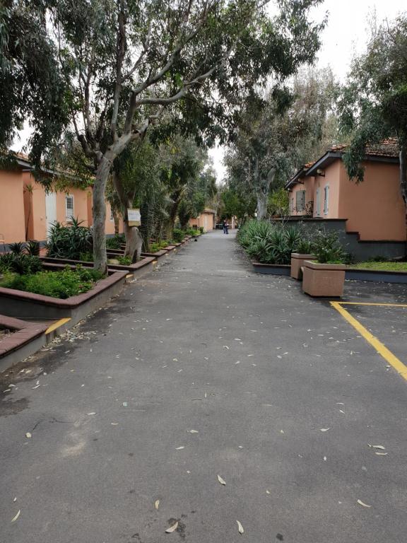Vista ingrandita