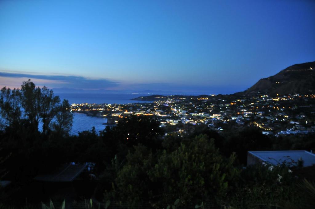 Vista ingrandita