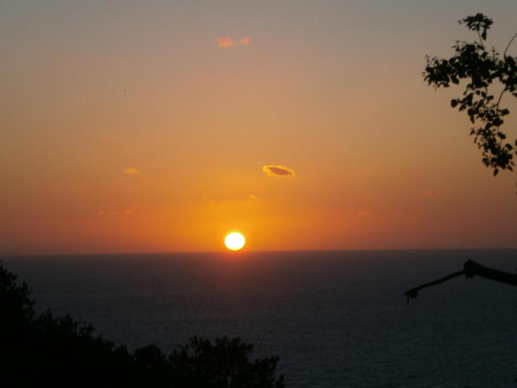 Vista ingrandita