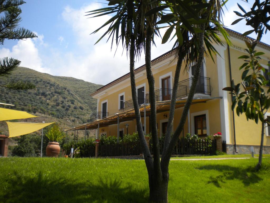 Vista ingrandita