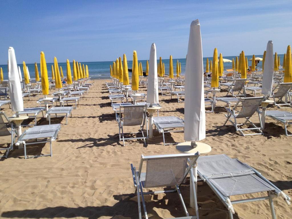 Vista ingrandita