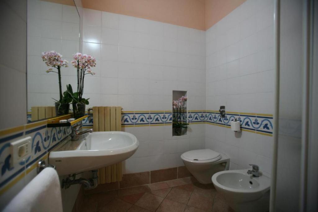 Vista ingrandita